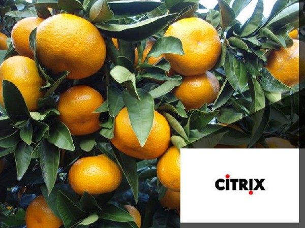 Citrix